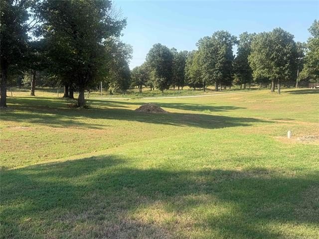 Picture 43