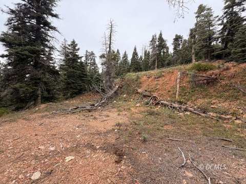 Single Family Lot, Duck Creek Village, UT