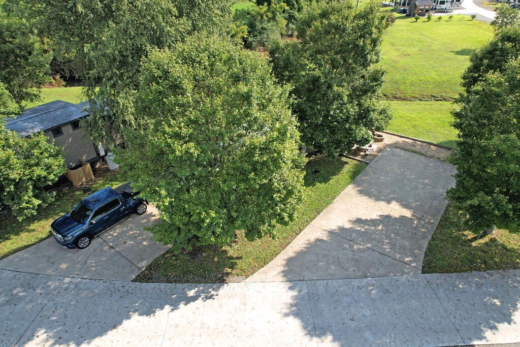 Picture 6