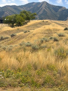 Residential Land in Elk Ridge