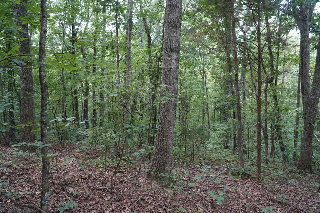 Picture 30