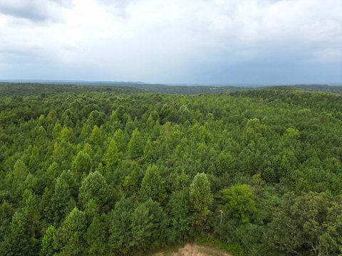 Land, Falkville, AL