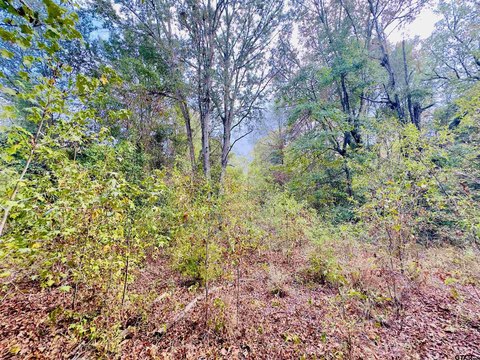 Land, Gilmer, TX