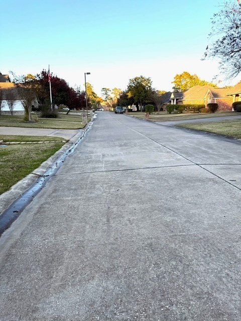 Picture 8