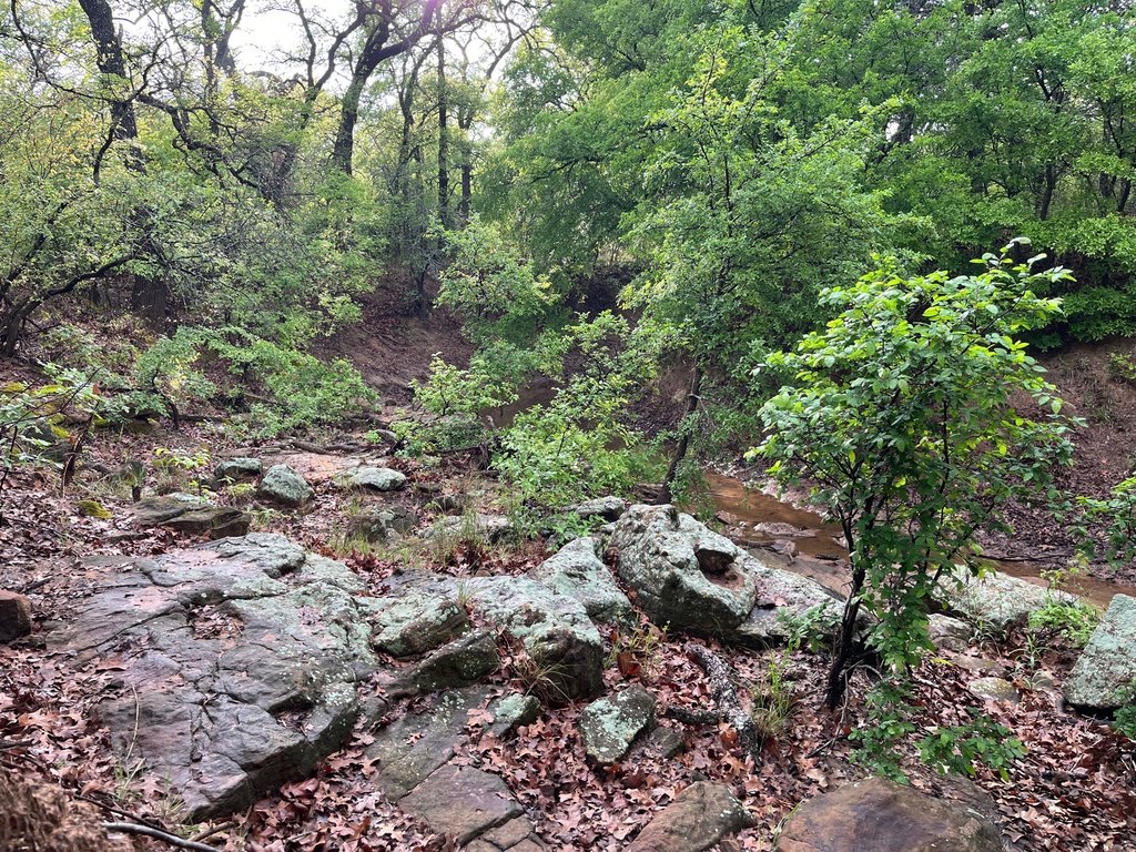 Picture 2
