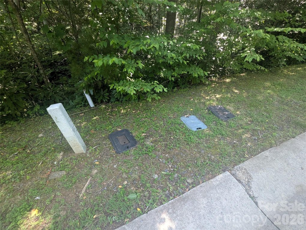 Picture 19