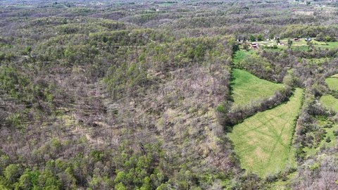 Elevated Wooded Hunting Land Tract