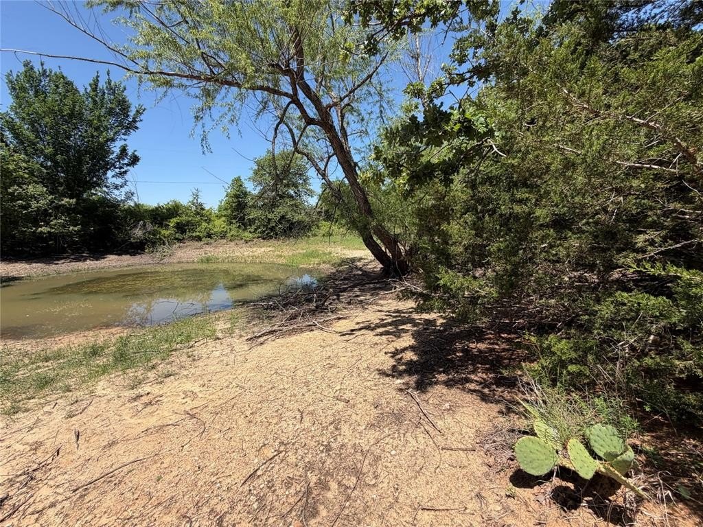 Picture 19