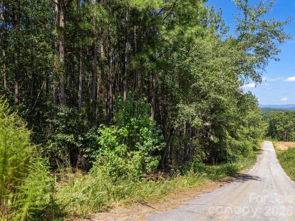 Picture 32