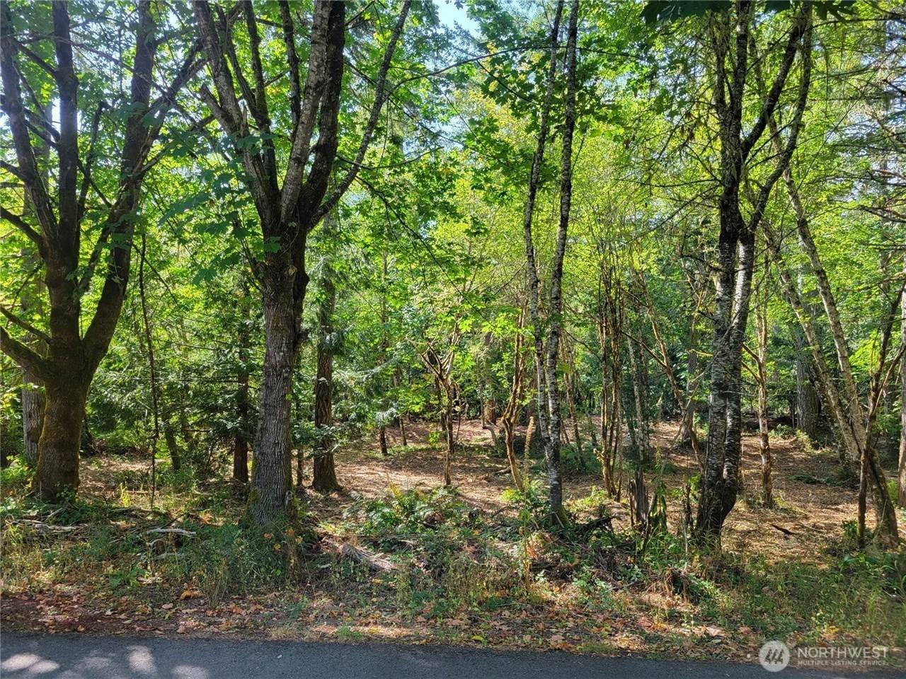 Grapeview Land with Waterfront Access