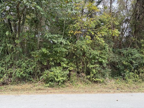 Land, Bean Station, TN