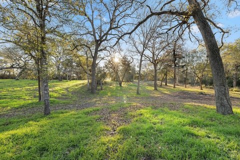 Wooded Recreational Land Tract