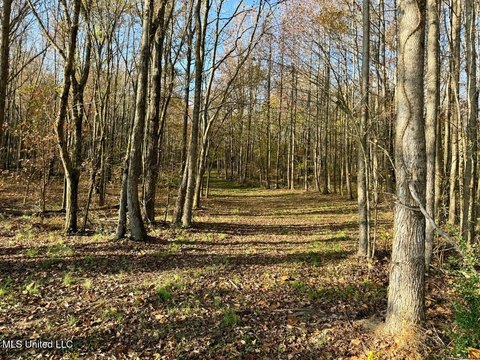 Land For Sale, Lamar, MS