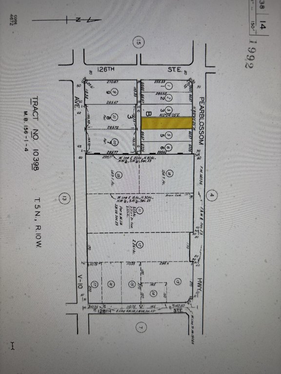 Picture 21