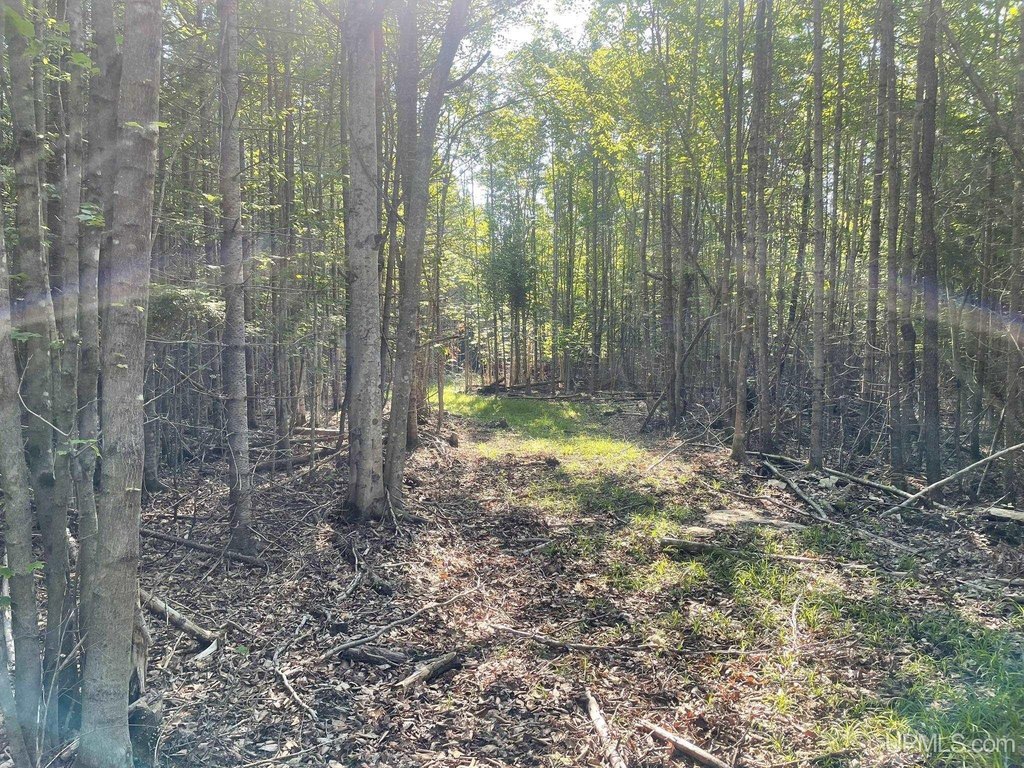 Picture 5