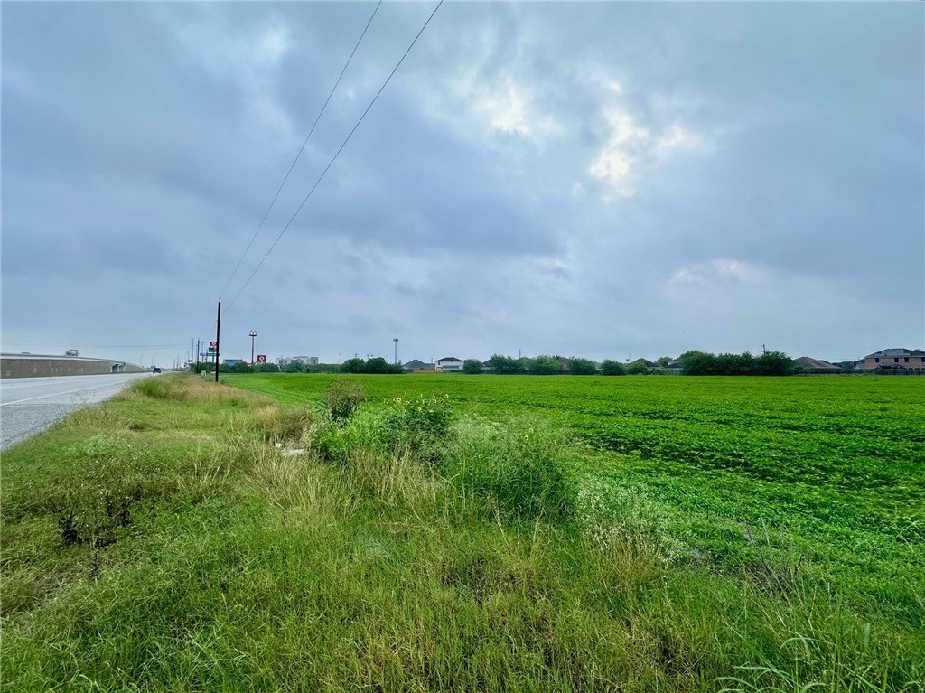 Kingsville Land Investment Opportunity