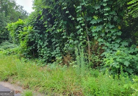 LAND - Jonesboro, GA