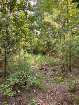 Vacant Land, Camden, AR