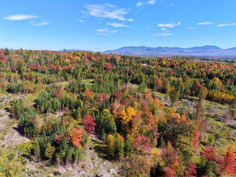 Forest Conservation Land with Scenic View
