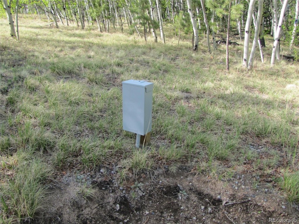 Picture 13
