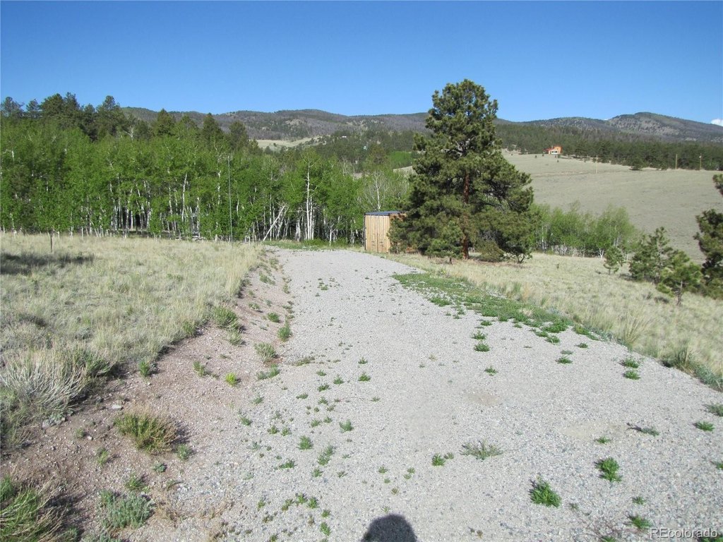 Picture 8