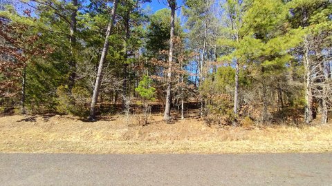 Residential Lot in Hot Springs