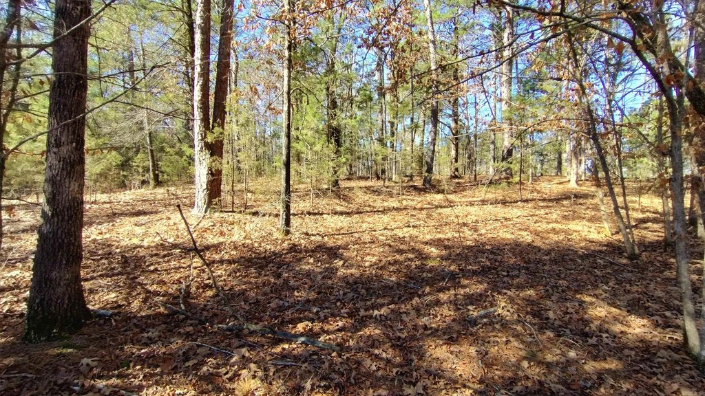 Picture 4