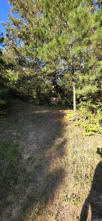 Picture 16