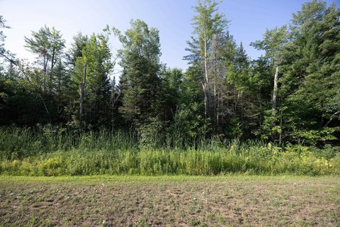 LAND - SURING, WI