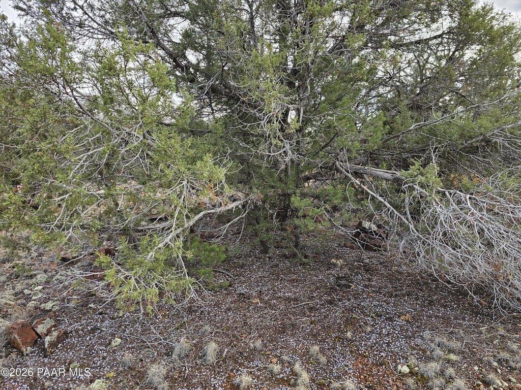 Picture 10
