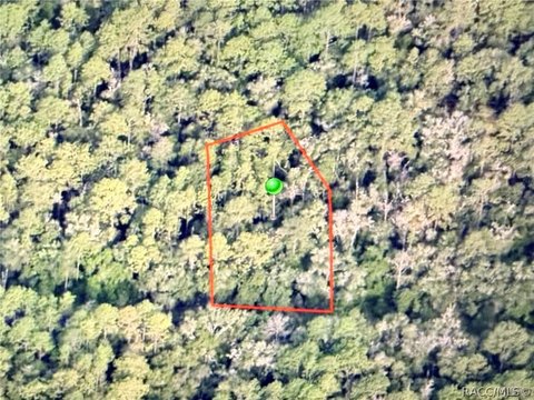 Land, Citrus Springs, FL