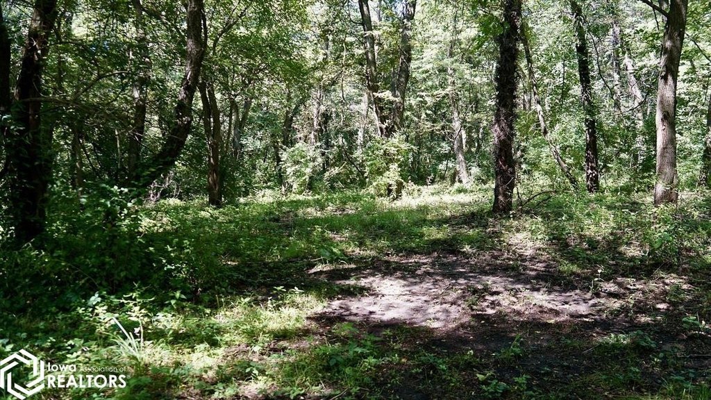 Picture 17