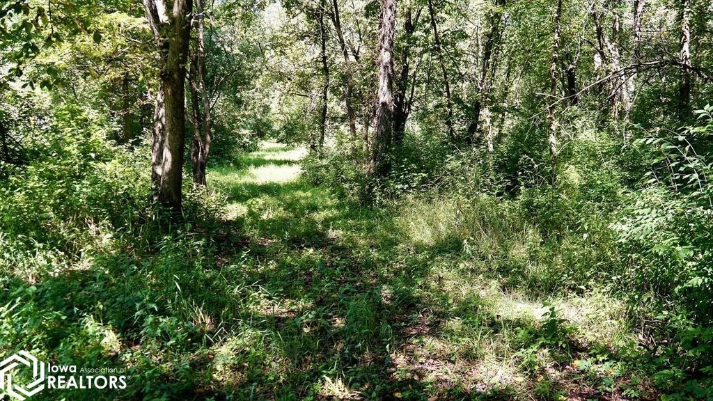 Picture 20