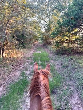 Lone Oak Unimproved Land Opportunity