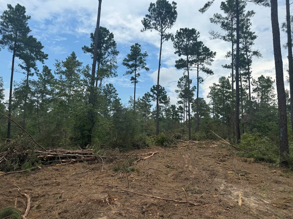 Picture 15
