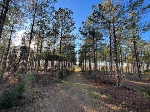 Timber and Row Crop Land Tract