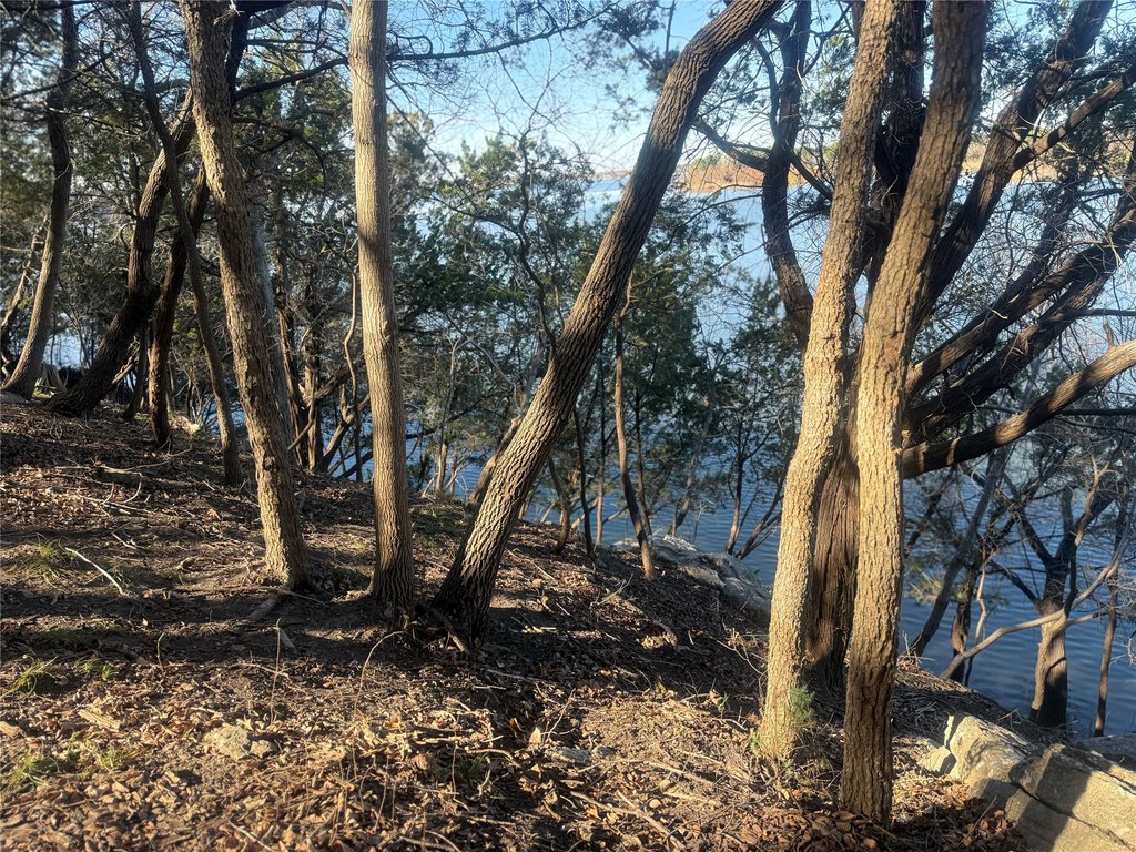 Picture 18