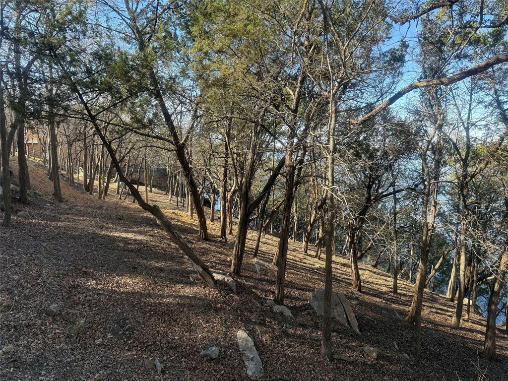 Picture 24