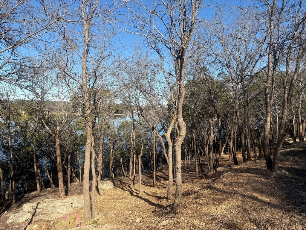 Picture 28