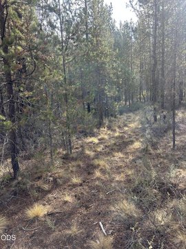 Land, La Pine, OR