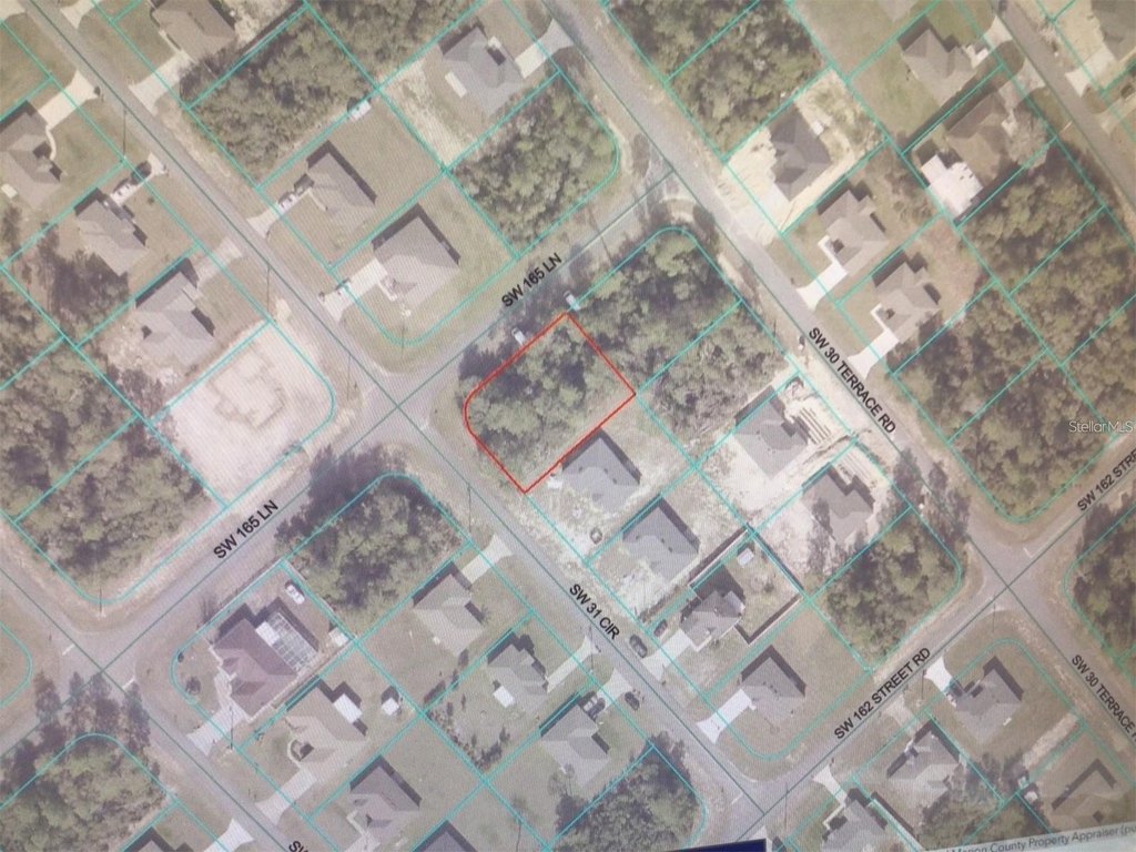 Picture 3