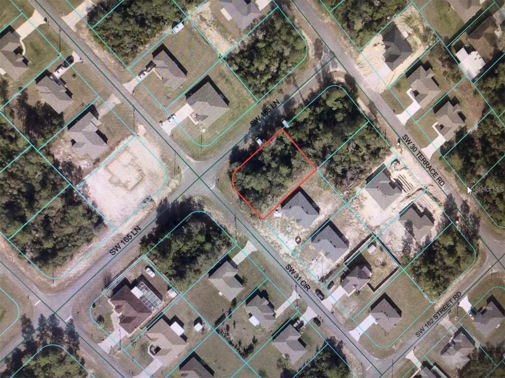 Picture 2