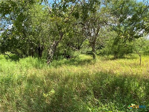 Texas Land with Development Potential