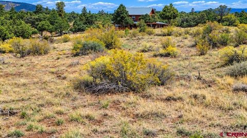 LAND, South Fork, CO