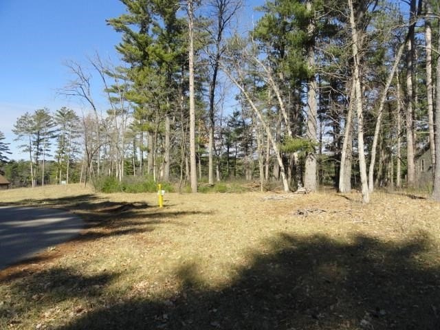 Picture 20