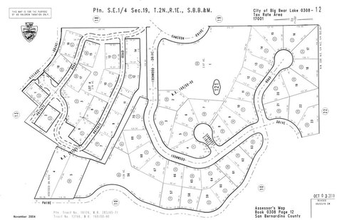 Big Bear Lake Treed Lot