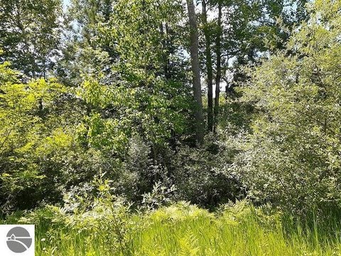 Vacant Lot/Land - Lupton, MI