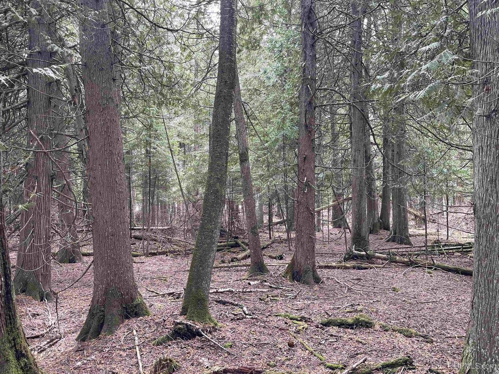 Picture 29