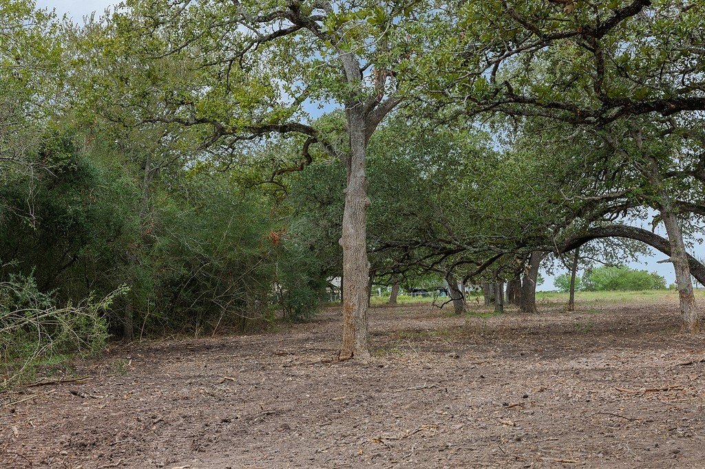 Picture 4