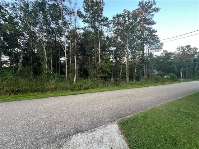 Picture 5